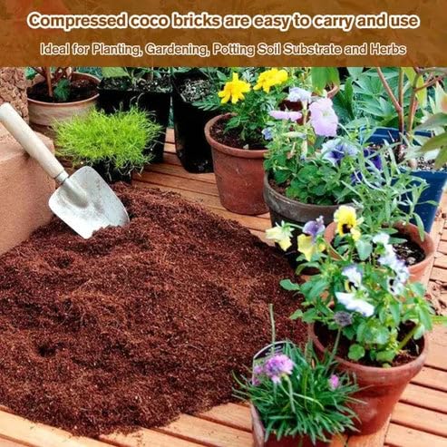 EcoGro Coconut Coir – Organic Soil Booster