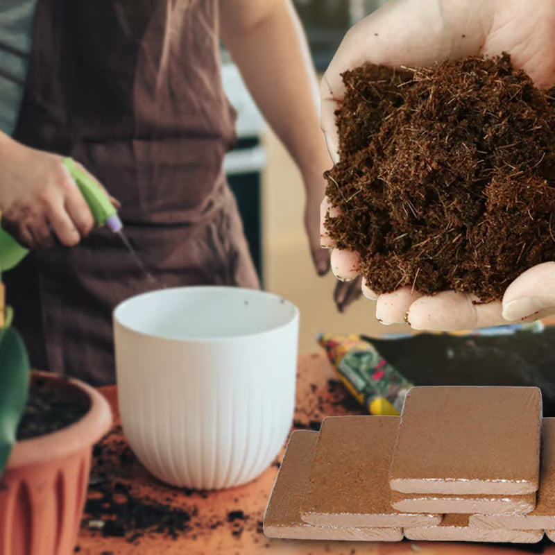 EcoGro Coconut Coir – Organic Soil Booster